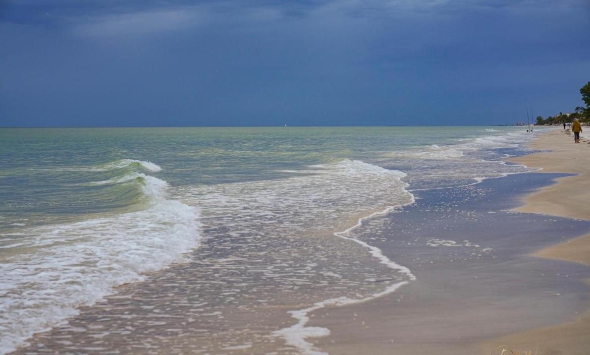 Guest Suite - Waterfront -Pool & Hot Tub- Walk To Beach Clearwater Beach Eksteriør billede