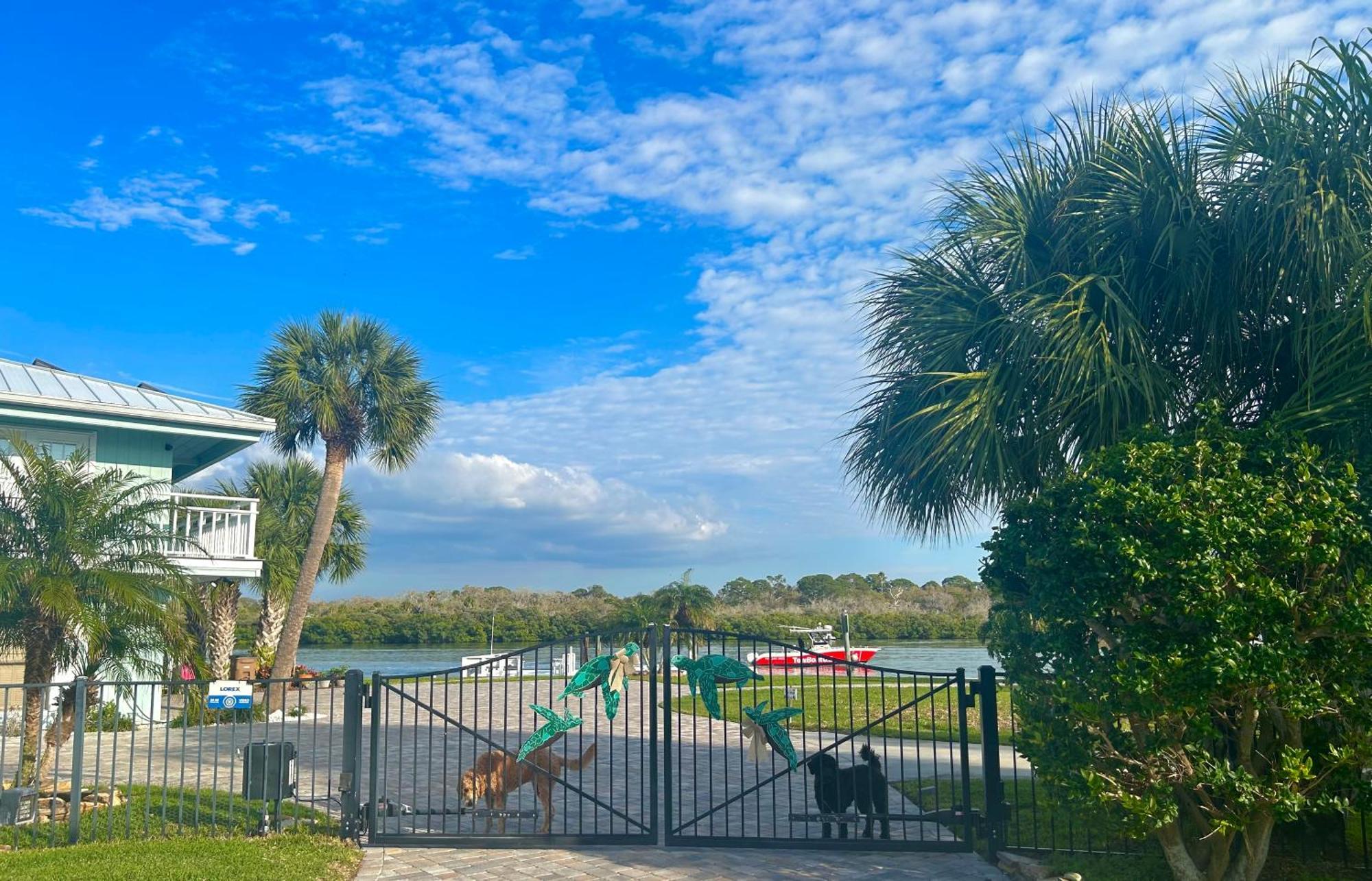 Guest Suite - Waterfront -Pool & Hot Tub- Walk To Beach Clearwater Beach Eksteriør billede